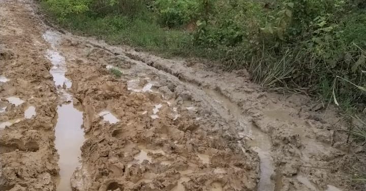 Kondisi Jalan Peunaron Baru-Serimulya Rusak Parah, Masyarakat Keluhkan Akses Sulit