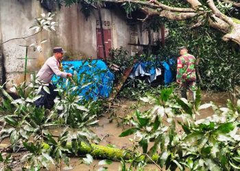 Sigap, Anggota Polsek Darul Aman Bantu Warga Yang Rumahnya Tertimpa Pohon