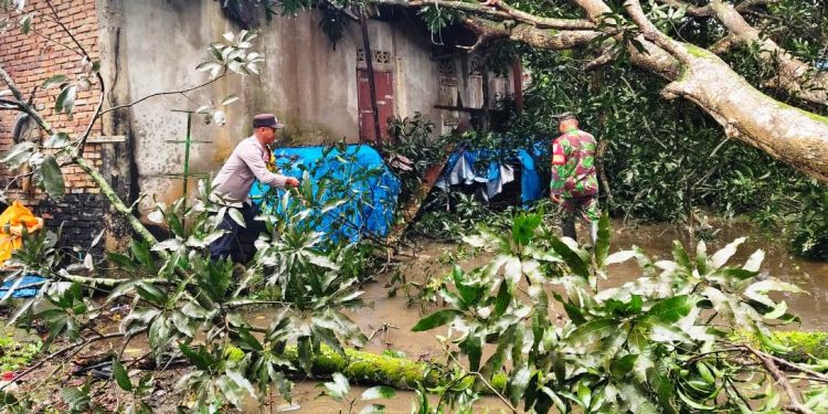 Sigap, Anggota Polsek Darul Aman Bantu Warga Yang Rumahnya Tertimpa Pohon