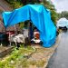 Banjir Bandang Hancurkan Puluhan Rumah di Serbajadi: Warga Terisolasi dan Belum Terima Bantuan Pemerintah