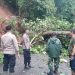 Respon Cepat Polisi Di Purwakarta Lakukan Penanganan Longsor Yang Menutupi Jalan