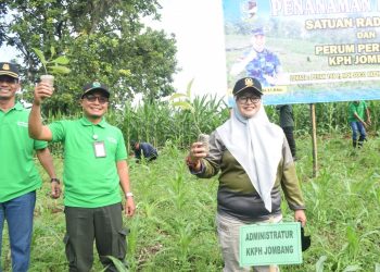 Sinergitas Perhutani KPH Jombang Dan TNI/ Satrad 405, Tanam Ribuan Jati Bentuk Tanggung Jawab Kelestarian Hutan