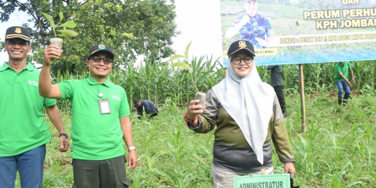 Sinergitas Perhutani KPH Jombang Dan TNI/ Satrad 405, Tanam Ribuan Jati Bentuk Tanggung Jawab Kelestarian Hutan