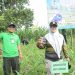 Sinergitas Perhutani KPH Jombang Dan TNI/ Satrad 405, Tanam Ribuan Jati Bentuk Tanggung Jawab Kelestarian Hutan