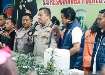 Terbongkar! Rumah Kontrakan di Jombang Jadi Ladang Ganja, Residivis Lama Berulah Lagi
