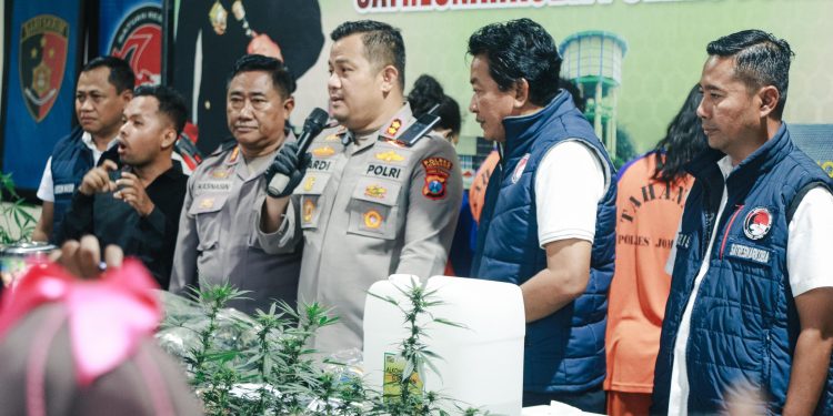 Terbongkar! Rumah Kontrakan di Jombang Jadi Ladang Ganja, Residivis Lama Berulah Lagi