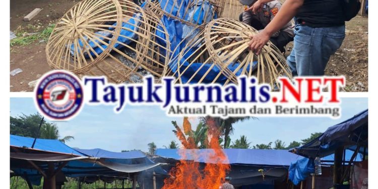Polresta Banyuwangi Tindak Tegas Dugaan Judi Sabung Ayam, Arena dibongkar