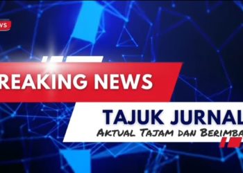 Rumah Kontrakan di Jombang Digerebek, Polisi Temukan Kebun Ganja Lebih dari 100 Batang
