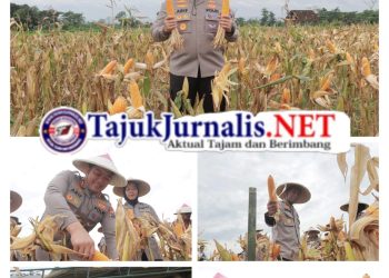 Polres Blitar Kembali Raih Penghargaan dari Presiden RI atas Dukungan Swasembada Pangan