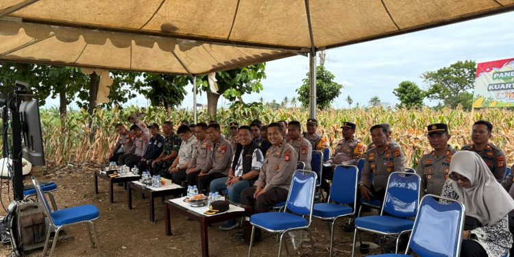 Zoom Meeting Panen Raya Jagung Kuartal I 2026, Kapolres Wajo Soroti Swasembada Pangan