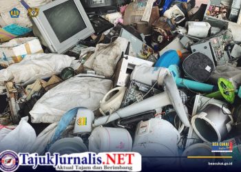 Gandeng WCO dan Interpol, Bea Cukai Perangi Kejahatan Lingkungan Lewat Operasi Demeter XI dan Thunder 2025