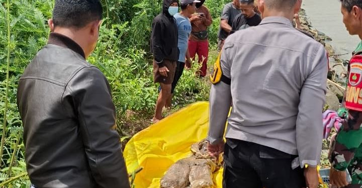 Mayat Tanpa Kepala Ditemukan Terapung di Pesisir Danau Tempe, Polisi Lakukan Olah TKP