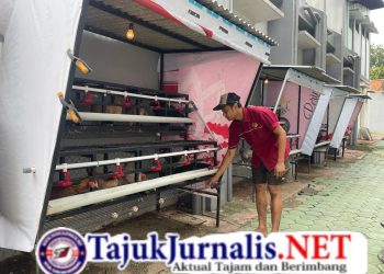 Lapas Kelas IIA Sidoarjo Berkomitmen Hadirkan Program Pembinaan Untuk WBP Budidaya Ayam Bertelur