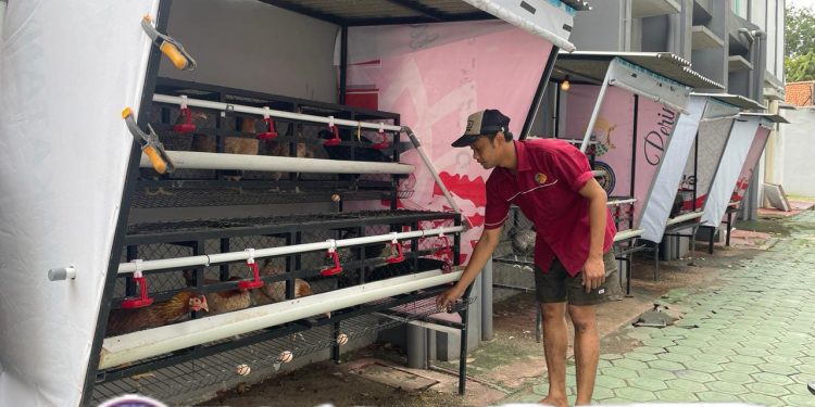Lapas Kelas IIA Sidoarjo Berkomitmen Hadirkan Program Pembinaan Untuk WBP Budidaya Ayam Bertelur