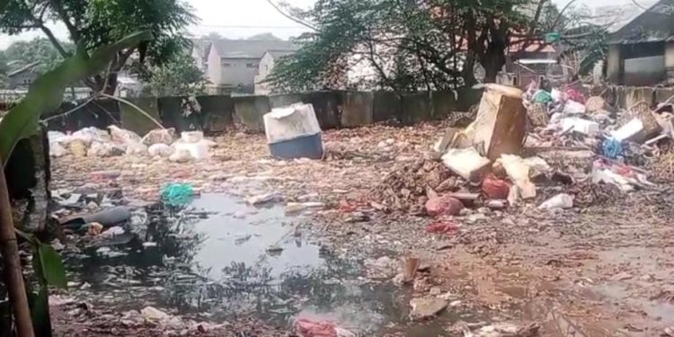 Ketua Alibaba Marhani Angkat Bicara, Menyikapi Peryataan Kadis DLH Kota Cilegon, Cuma Teori Menangani TPS Bongkar Muat Pasar Keranggot