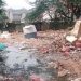 Ketua Alibaba Marhani Angkat Bicara, Menyikapi Peryataan Kadis DLH Kota Cilegon, Cuma Teori Menangani TPS Bongkar Muat Pasar Keranggot