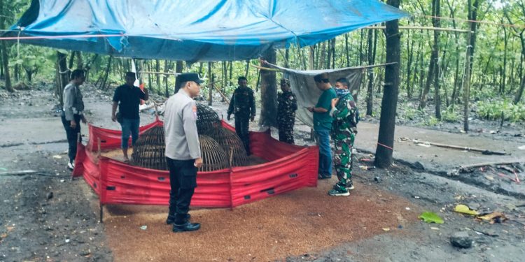 Kolaborasi TNI-Polri Intensifkan Penindakan Judi Sabung Ayam di Jombang