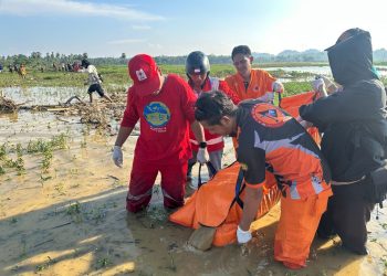 Lansia Ditemukan Meninggal di Pinggir Rawa di Pammana, Polisi Duga Tenggelam