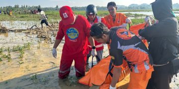 Lansia Ditemukan Meninggal di Pinggir Rawa di Pammana, Polisi Duga Tenggelam