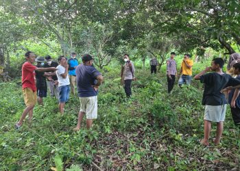 Kapolsek Pitumpanua : Mayat Ditemukan di Desa Batu Seorang Pelajar Warga Temboe Kabupaten Luwu.