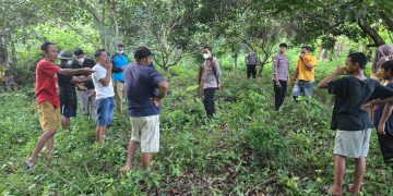 Kapolsek Pitumpanua : Mayat Ditemukan di Desa Batu Seorang Pelajar Warga Temboe Kabupaten Luwu.