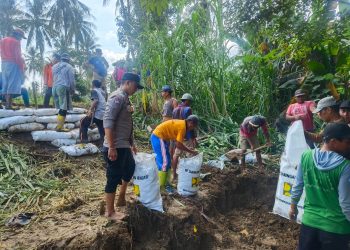 Bhabinkamtibmas Polsek Belawa Monitoring Banjir, Ratusan Hektare Wilayah