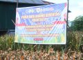Polres Wajo Ikuti Zoom Meeting dan Panen Raya Jagung Serentak Kuartal II Dukung Swasembada Pangan 2026
