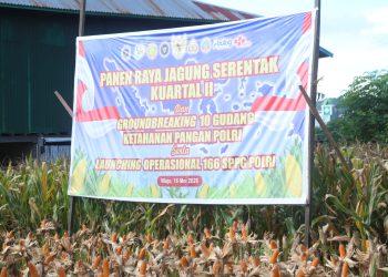 Polres Wajo Ikuti Zoom Meeting dan Panen Raya Jagung Serentak Kuartal II Dukung Swasembada Pangan 2026