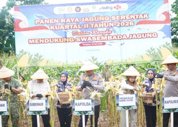 Kapolda Sulsel Pimpinan Panen Raya Jagubng Kuartal 2 Tahun 2026 di Mandalle, Pangkep