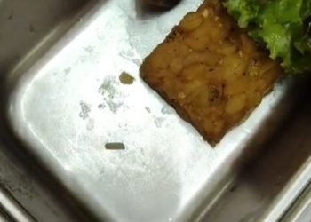 Sajian MBG di salah satu sekolah di Purwokerto ada belatungnya