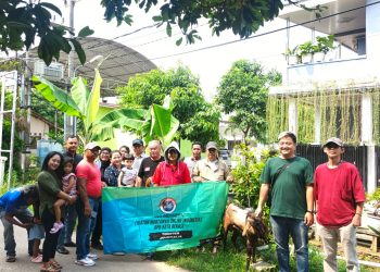 Satu ekor Kambing kurban dipotong di halaman Rumah Ketua IWO I Kota Bekasi Nio Helen dalam perayaan Iduladha 1447 Hijriah,