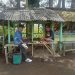 Mengintip keunikan kampung Amsterdam (My Darling) dibumi Parahiyangan gunung Cikuray