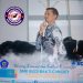 Wakasek Cecep SMK Budi Bhakti Ciwidey Nyatakan menantang Diaudit BPK dan KPK terkait BOSP dan Pungutan.