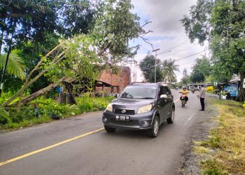Wujud Pelayanan Prima, Polsek Majauleng Lakukan Evakuasi Pohon Tumbang yang Membahayakan Pengendara