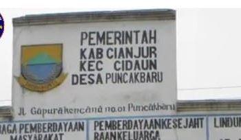 Perlunya turun tangan pihak kejari dan Aph untuk audit total dana DD 2024/25 Desa puncak baru keamatan cidaun kabupaten cianjur.