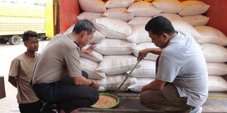 Program Ketahanan Pangan Polda Sulsel Berbuah Hasil, Bulog Serap Panen Jagung Petani