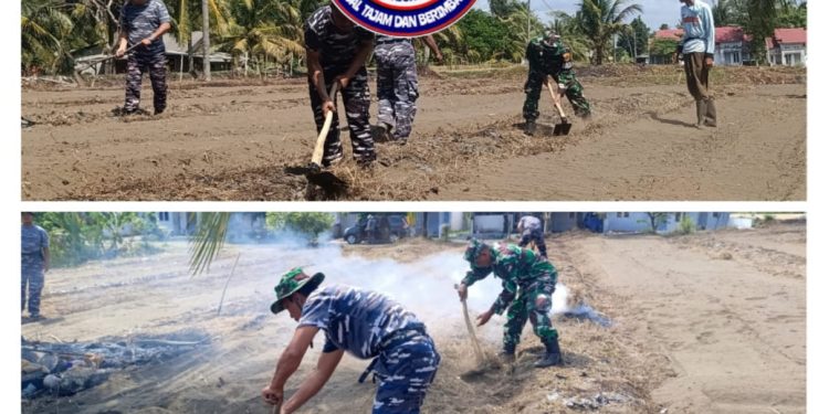 Pematangan Lahan TNI AL Bojongsalawe untuk Program Ketahanan Pangan TNI AL.
