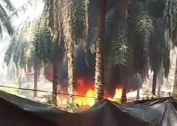 Skandal Minyak di Lahan Hindoli: Lawan Pungli 13% Oknum
