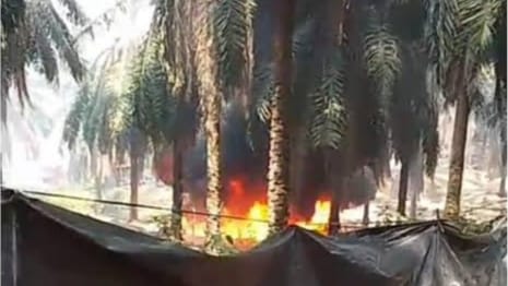 Skandal Minyak di Lahan Hindoli: Lawan Pungli 13% Oknum