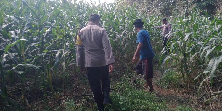 Polres Jombang Tindak Lanjuti Aspirasi Sopir Truk, Tegaskan Penanganan dugaan Pungli hingga Balap Liar Terus Dilakukan
