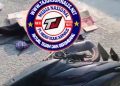 Kecelakaan Maut di Depan Alfamidi Arah Pasar Tegal Danas, Satu Korban Meninggal di Tempat