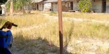 Lampung mesuji. Nasib Karyawan PT SILVA Sangat Miris.