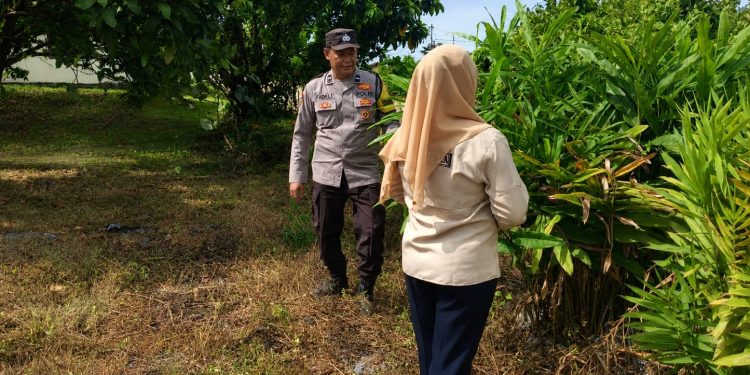 Bhabinkamtibmas Polsek Banyuasin III Ajak Warga Pangkalan Balai Dukung Program Pekarangan Pangan Bergizi