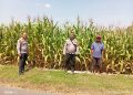 Personel Polsek Jombang Monitoring Perkembangan Tanaman Jagung di Desa Plosogeneng