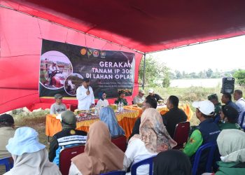 Panen Hari Ini, Tanam Hari Ini, Korem 044/Gapo Dukung Gerakan IP300 Untuk Ketahanan Pangan Nasional