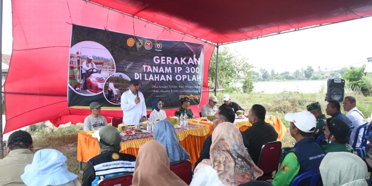 Panen Hari Ini, Tanam Hari Ini, Korem 044/Gapo Dukung Gerakan IP300 Untuk Ketahanan Pangan Nasional