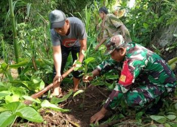 Lestarikan Lingkungan, Serda Budiono Bersama Poktan Sidodadi Tanam Pohon Melalui Aksi Bersatu Dengan Alam