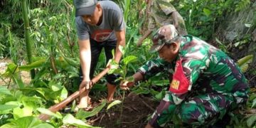Lestarikan Lingkungan, Serda Budiono Bersama Poktan Sidodadi Tanam Pohon Melalui Aksi Bersatu Dengan Alam