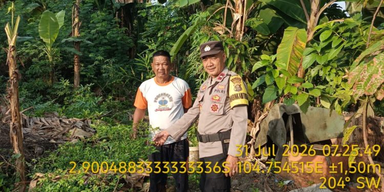 Pekarangan Produktif Didorong Jadi Penopang Ketahanan Pangan, AIPDA Awanadi Edukasi Warga Kelurahan Sei Sedapat