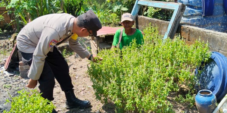 Bhabinkamtibmas Polsek Muara Telang Dorong Warga Manfaatkan Pekarangan untuk Dukung Ketahanan Pangan